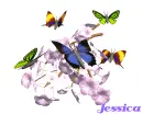 jessica