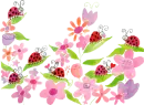 lady bug spring