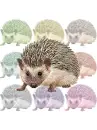 multicolor hedghog