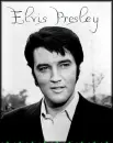 elvis presley