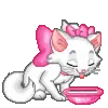 marie cat