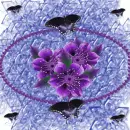 Violet