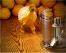 the juice maker 1