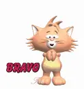 bravo