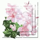 Vine