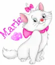 Marie cat with name Marie