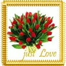 Tulip