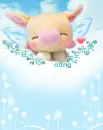 kawai pig