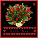 Tulip