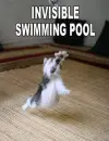 invisible swimming pool