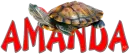 Turtle Amanda