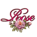 Rose:Rose