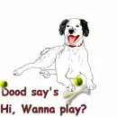 Hi wanna play