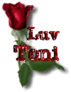 Red rose with Luv Toni