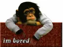 bored