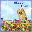 hello