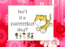 purrrfect day?