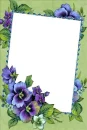 Frame