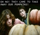 pumpkins
