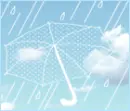 umbrella 