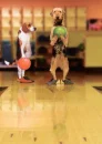 lets bowl