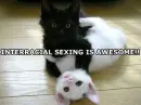 aw lol <3