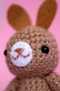 bunny