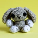 brown bunny