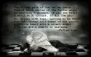 Fallen Angel