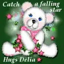 Catch a falling star - Delia