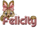 Bunny & Paw: Felicity