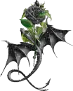 Black Dragon N Rose