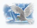 spirit dove