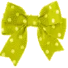 flashy bow