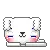 cute white dog
