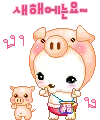cute_puppy_02