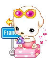 cute_puppy_04