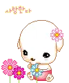 cute_puppy_08