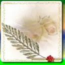 Rococo