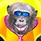 monkey
