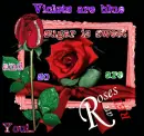 roses are red,