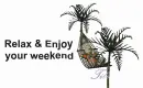 relax and enjoy