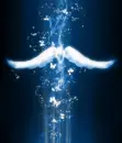 falling angel