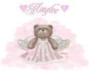 Angel bear Haylee