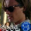Cool Cat - Dr. Spencer Reid