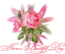 Beautiful Day Rose
