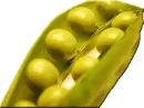 Peas in a Pod