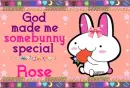 Rose- God made you special