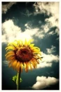 peacefull