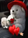 cute